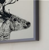 "Flower Stag" - Art Print in Ash by Holly Hudson - Frame Close-up