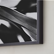 "GLOWING BOTANICAL II" - Art Print in BLACK AND WHITE by Amy Chapman Braun - Frame Close-up