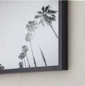 "California Palms" - Art Print in black by Lauren Armellini - Frame Close-up