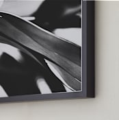 "GLOWING BOTANICAL II" - Art Print in BLACK AND WHITE by Amy Chapman Braun - Frame Close-up