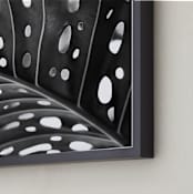 "Peek A Boo" - Art Print in black and white by Amy Chapman Braun - Frame Close-up