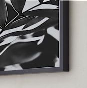 "GLOWING BOTANICAL I" - Art Print in black and white by Amy Chapman Braun - Frame Close-up