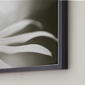 "Late Summer" - Art Print in Black and White by Lynn Lehto - Frame Close-up