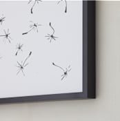 "dandelion in charcoal..." - Art Print in charcoal grey by aeryn donnelly design - Frame Close-up