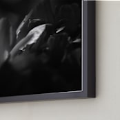"Peony #2" - Art Print in Black and White by Lynn Lehto - Frame Close-up