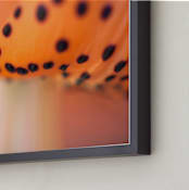 "Tiger #3" - Art Print in Orange and Black by Lynn Lehto - Frame Close-up