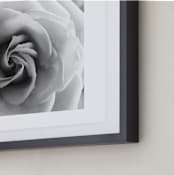 "Resting Rose" - Art Print in Morning Mist by Three Wings North - Frame Close-up