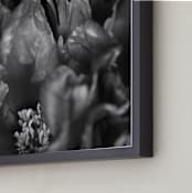 "Peony #1" - Art Print in Black and White by Lynn Lehto - Frame Close-up