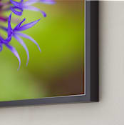 "Fireworks #1" - Art Print in Purple and Fuchsia by Lynn Lehto - Frame Close-up