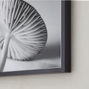 "Mushroom Found 2" - Art Print in grey, black and white by Alexis Arnold - Frame Close-up