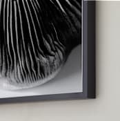 "Ripples of a Mushroom" - Art Print in black and white, grey, gray by Alexis Arnold - Frame Close-up
