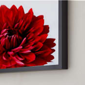 "Bold Dahlia" - Art Print in Crimson by Three Wings North - Frame Close-up
