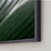 "Incline" - Art Print in Palm by Three Wings North - Frame Close-up