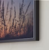 "Sunset among the grasses I" - Art Print in Red Fiery Violet by Lying on the grass - Frame Close-up