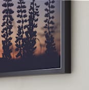 "Sunset among the grasses IV" - Art Print in Red Fiery Violet by Lying on the grass - Frame Close-up