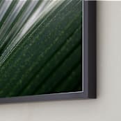 "Incline" - Art Print in Palm by Three Wings North - Frame Close-up