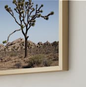 "Joshua Tree With Rock Formation in" - Art Print in Desert Tan by Kathy Van Torne - Frame Close-up