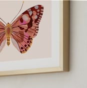 "Paper Wings" - Art Print in Peach Sunset by Sarah Knight - Frame Close-up