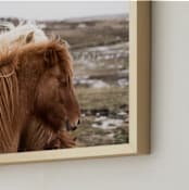 "Hestur I" - Art Print in Natural by Liz Conley - Frame Close-up