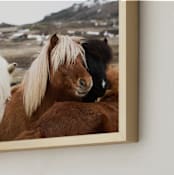 "Hestur II" - Art Print in Natural by Liz Conley - Frame Close-up