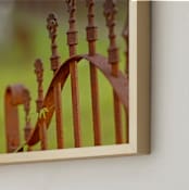"Rusty Iron Fence" - Art Print in Rusty Iron by Mary Ann Glynn-Tusa - Frame Close-up