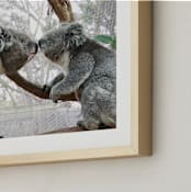 "Koala Love " - Art Print in Greys by Alison Holcomb - Frame Close-up
