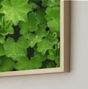 "Magical Sparkling Leaves" - Art Print in soft green by Julia Preminger - Frame Close-up