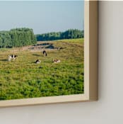 "Pasture of cows II" - Art Print in Blue Green by Lying on the grass - Frame Close-up
