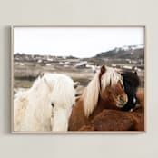"Hestur II" - Art Print in Natural by Liz Conley - Framed