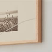 "Field" - Art Print in Ecru by Morgan Kendall - Frame Close-up