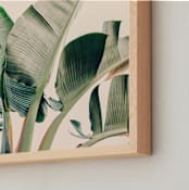"Bending To The Sun" - Art Print in Leaf by ALICIA BOCK - Frame Close-up