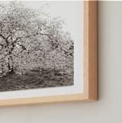 "bloom I" - Art Print in blossom by Sara Hicks Malone - Frame Close-up