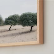"Casting Shade" - Art Print in Sage by Courtney Crane - Frame Close-up