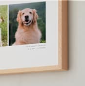 "Two Photo: Landscape Framed Photo" - Framed Photo in White by Anelle Mostert - Frame Close-up