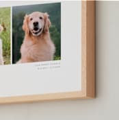 "Two Photo: Landscape Framed Photo" - Framed Photo in White by Anelle Mostert - Frame Close-up