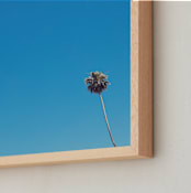 "Space & Boundaries I" - Art Print in Sky Blue by Caroline Mint - Frame Close-up