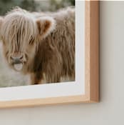 "The Silly Little Cow" - Art Print in Blondie by Chelsea Victoria - Frame Close-up