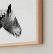 "Ansel" - Art Print in Black White by Amy Carroll - Frame Close-up