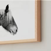 "Ansel" - Art Print in Black White by Amy Carroll - Frame Close-up