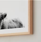 "Leon" - Art Print in Black White by Amy Carroll - Frame Close-up