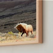 "Spirit Dance" - Art Print in Desert Gold by Leslie Le Coq - Frame Close-up