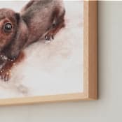 "Weiner dog with a nose full of snow" - Art Print in weiner dog by XL - Frame Close-up