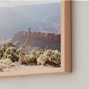 "Canyon Afternoon Light" - Art Print in Mist Blue by Anna Western - Frame Close-up