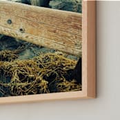 "La Jolla Pier Pilings" - Art Print in california kelp by aeryn donnelly design - Frame Close-up