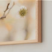 "under the sweetgum tree" - Art Print in peach cobbler by Alicia Abla - Frame Close-up