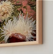 "Sea Anemones" - Art Print in Anemone Blush by Nicole Simms - Frame Close-up