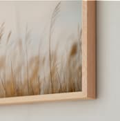 "windsong" - Art Print in golden by Crystal Lynn Collins - Frame Close-up