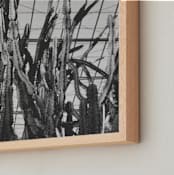"Cactus Courtney" - Art Print in Cactus Grey by K.Short - Frame Close-up