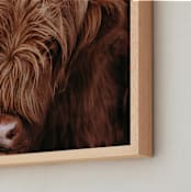 "Bashful" - Art Print in Nutmeg by Hollie Renner Photography - Frame Close-up