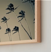 "island palms no.1" - Art Print in sky by Monica Gussow - Frame Close-up